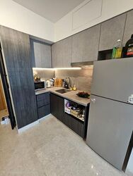 Eight Riversuites (D12), Condominium #504644901